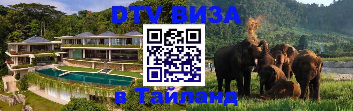 Сколько стоит виза DTV в Тайланд Кишинёв 